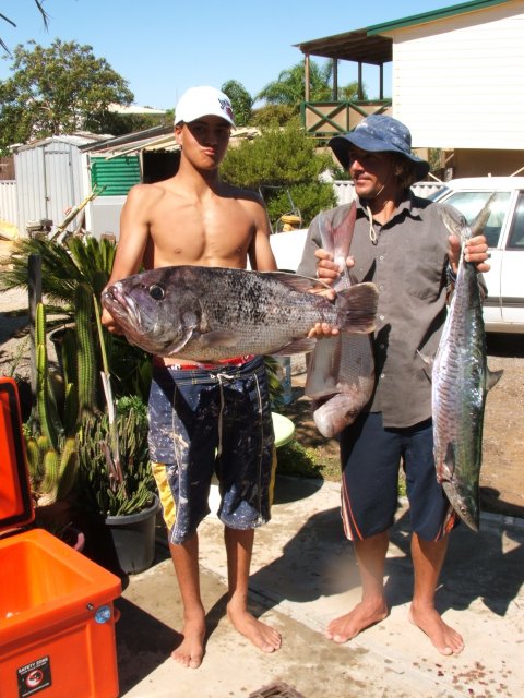 kalbarri fish